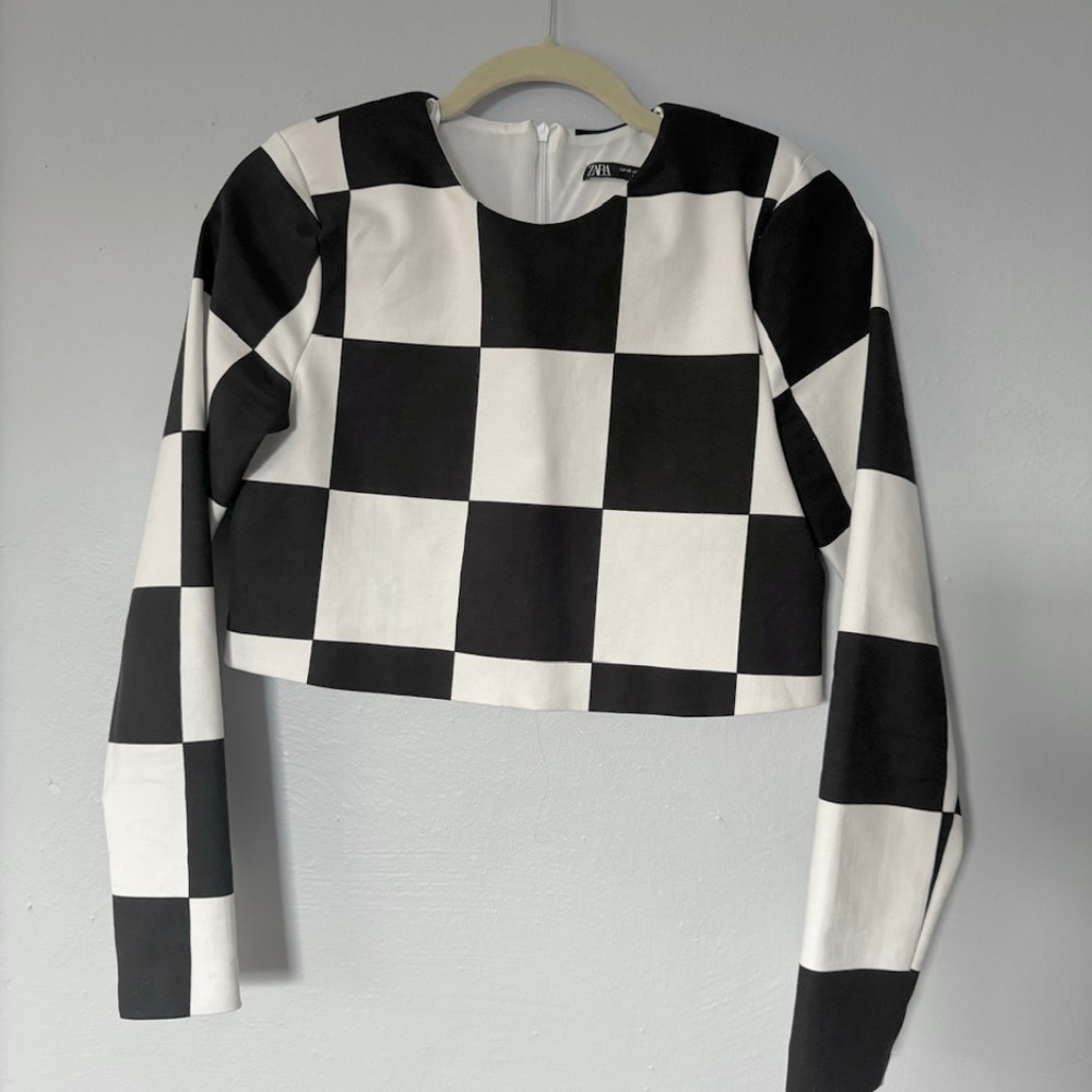 ZARA Long Sleeve Crop Top
